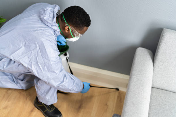 Best Fumigation Services  in Big Coppitt Key, FL